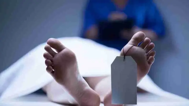 Mơ Thấy Xác Chết Không Phải Là Một Giấc Mơ Dễ Chịu. Nhiều Người Sau Khi Tỉnh Dậy Vẫn Còn Cảm Thấy Hoang Mang, Lo Sợ Và Tự Hỏi Liệu Giấc Mơ Ấy Mang Theo Điềm Xấu Hay Là Lời Cảnh Báo Gì Từ Vũ Trụ.