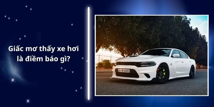 Giấc Mơ Thấy Xe Hơi Là Điềm Báo Gì?