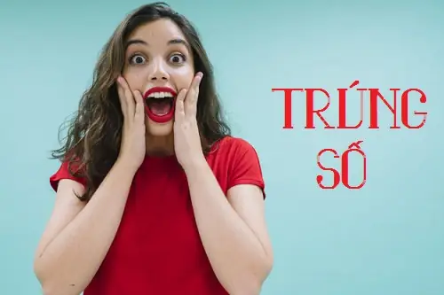 Giải Mã Giấc Mơ Trúng Số: Mở Tiệc Ăn Mừng Hay Lo Ngay Ngáy?