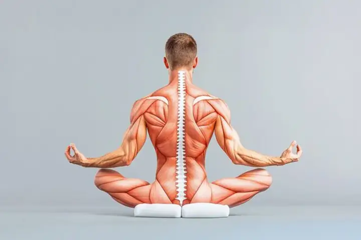 Giải Mã Giấc Mơ Về Giải Phẫu Người: Ý Nghĩa Tâm Lý & Điềm Báo Trong Cuộc Sống