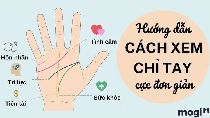 Giải Mã Giấc Mơ Xem Chỉ Tay: Những Điều Bí Ẩn Và Ý Nghĩa Tiềm Ẩn