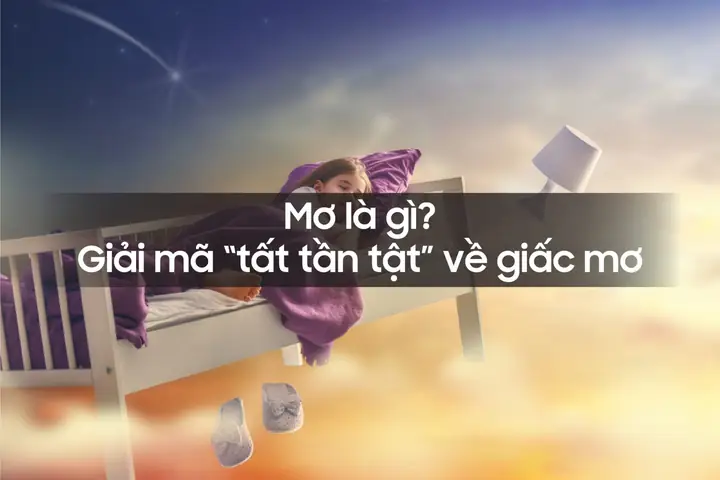 Mơ Là Gì? - Giải Mã "tất Tần Tật" Về Giấc Mơ
