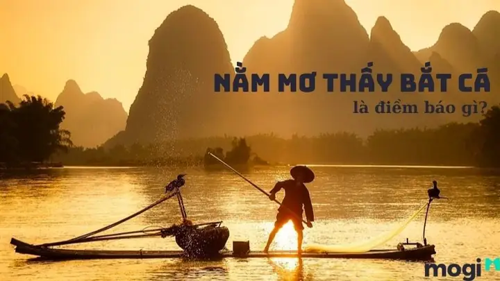 Giải Mã Giấc Mơ Về Việc Bắt Cá: Điềm Báo Gì Cho Tương Lai? Giải Mã Giấc Mơ Về Việc Bắt Cá: Điềm Báo Gì Cho Tương Lai?