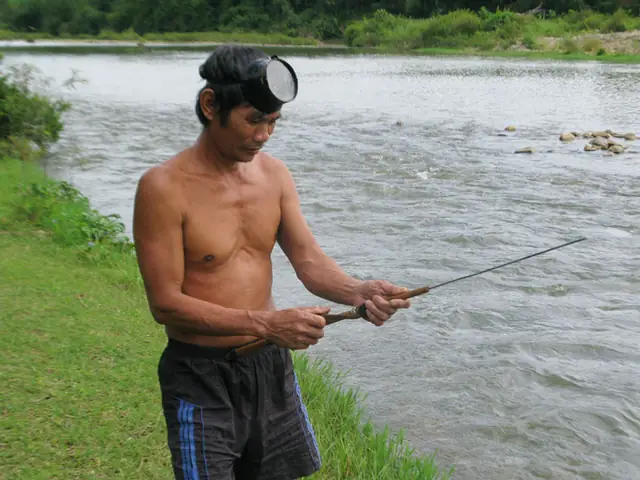 Mơ Thấy Câu Cá Trên Cạn