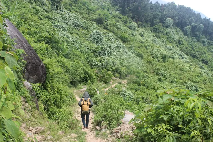 Mơ Bị Lạc Đường Có Người Giúp