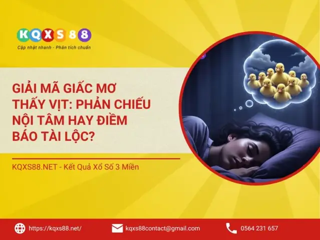 Mơ Thấy Đi Xem Bói Nhưng Không Tin