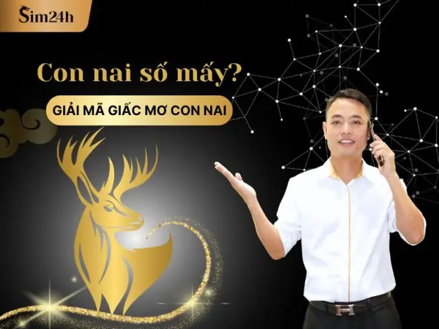 Mơ Thấy 2 Con Nai: Giải Mã Điềm Báo Trong Giấc Mơ Của Bạn