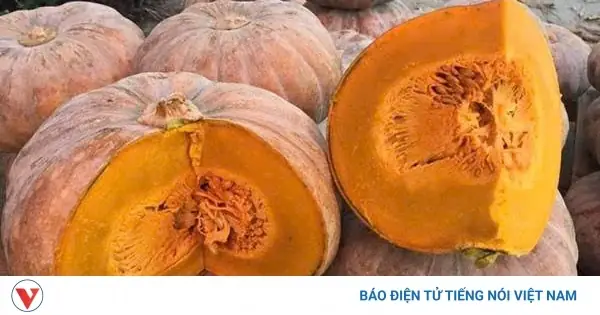 Bí Ngô - 'khắc Tinh” Hay 'trợ Thủ' Của Người Tiểu Đường?