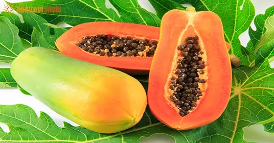 Mơ Thấy Quả Đu Đủ Đánh Con Gì?