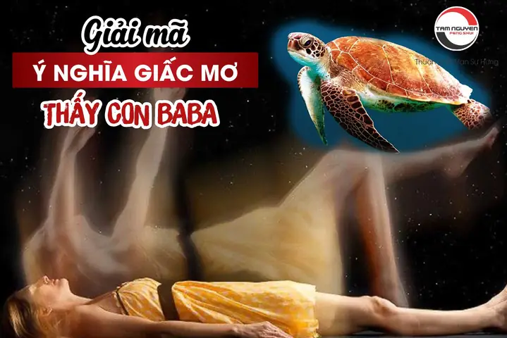 Mơ Thấy Ba Ba Mang Ý Nghĩa Gì?