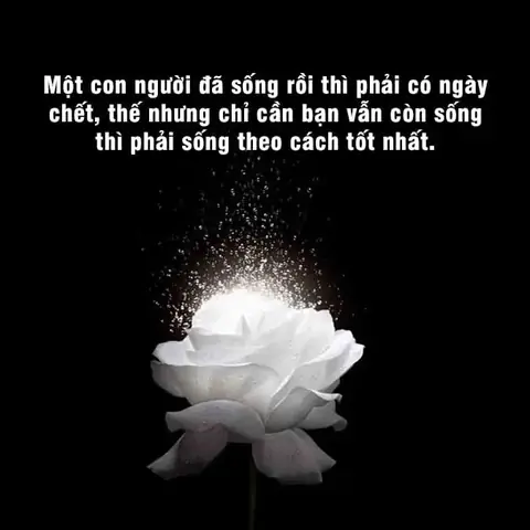 Stt Về Bà Ngoại Mất: Lời Tri Ân, Ký Ức Và Sự An Ủi Vô Bờ