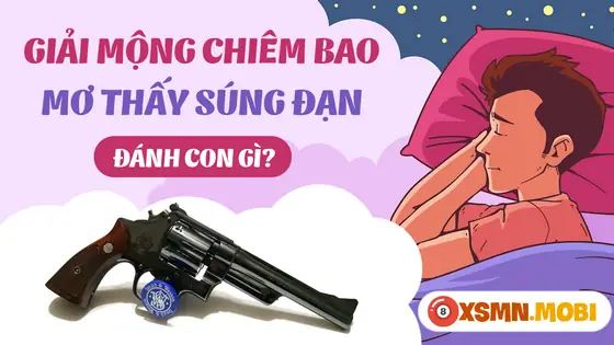 Một Số Giấc Chiêm Bao Thấy Súng Ống Khác
