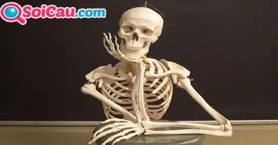 - Nằm Mơ Thấy Thiêu Bộ Xương Người