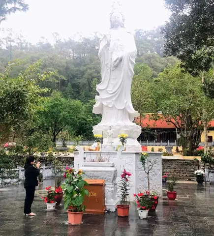 Mơ Thấy Bướm Đen Đánh Con Gì Mơ Thấy Bướm Đen Đánh Con Gì