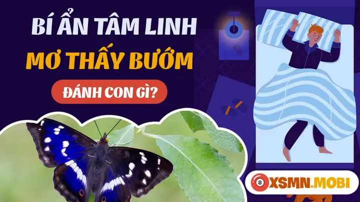 Mơ Thấy Bướm Đánh Con Gì? - Giải Mã Chiêm Bao Thấy Con Bướm