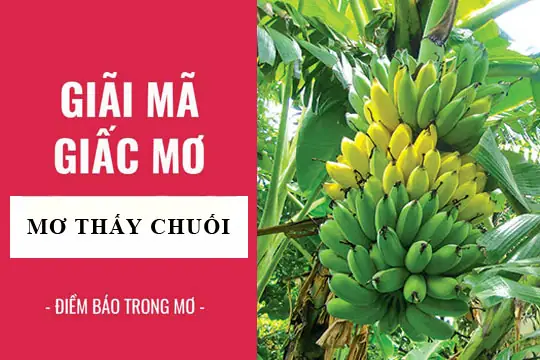 Giải Mã Giấc Mơ: Nằm Mơ Thấy Chuối, Buồng Chuối Điềm Báo Gì ...