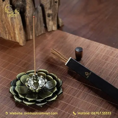 Mơ Thấy Cá Sấu Màu Đỏ