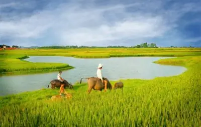 Mo-thay-cay-ruong-danh-de-con-gi
