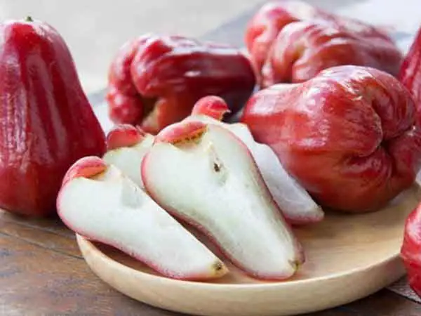 Mơ Thấy Quả Roi Có Điềm Báo Gì? Đánh Con Số Nào?