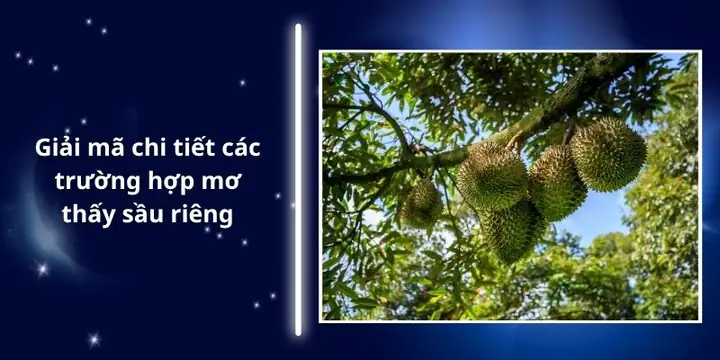 Mơ Thấy Rất Nhiều Quả Sầu Riêng
