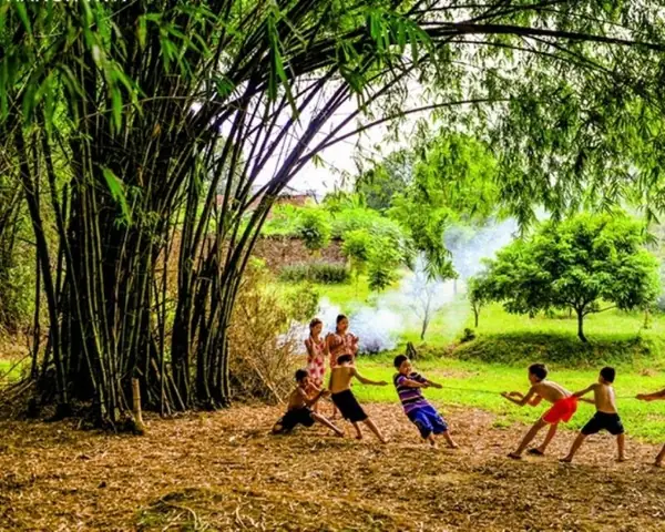 Mơ Thấy Cây Tre Đánh Con Gì?