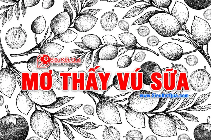 Mơ Thấy Vú Sữa Là Con Gì Là May Mắn Nhất