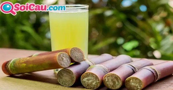 - Nằm Mơ Thấy Cây Mía Bị Gãy