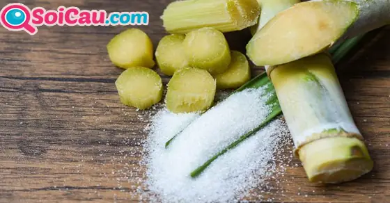 Những Giấc Mơ Thấy Cây Mía Khác