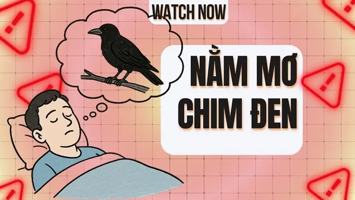 Nằm Mơ Thấy Chim Màu Đen Đánh Số Gì? Điềm Gì?