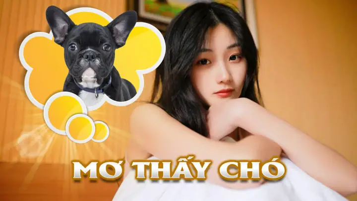 Nằm Mơ Thấy Chó Cắn Mang Ý Nghĩa Gì?