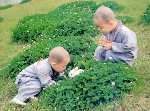 Nằm Mơ Thấy Chú Tiểu Vào Nhà