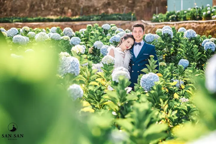 Ý Nghĩa Của Việc Mơ Thấy Mặc Váy Cưới Mà Không Phải Ai Cũng Biết