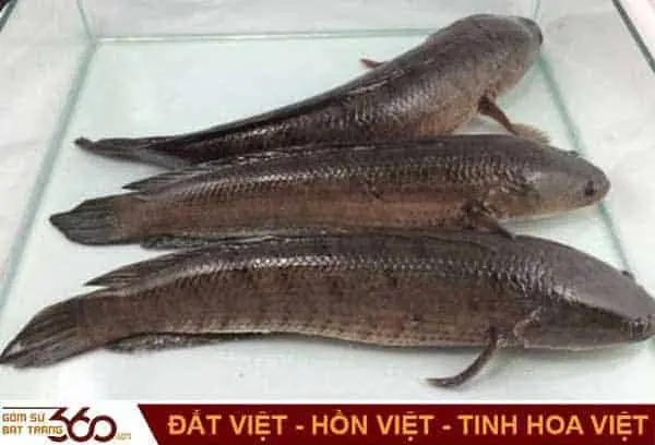 Mơ Thấy Cốc Nước Đánh Đề Con Gì? Giải Mã Giấc Mơ & Hướng Dẫn Chơi Chuẩn Xác