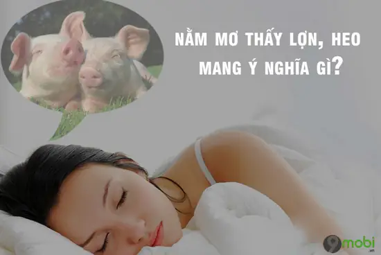 Giấc Mơ Thấy Lợn, Heo Có Ý Nghĩa Gì? Đánh Chơi Xổ Số Nào?