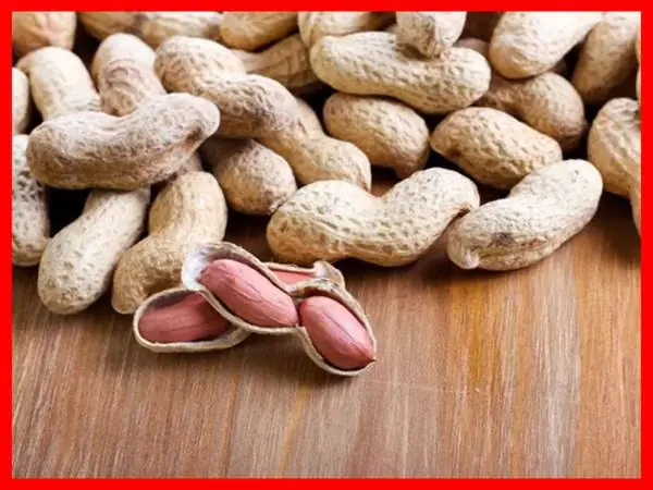 Một Vài Giấc Mơ Thấy Củ Lạc Khác