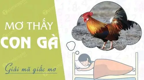 Mơ Thấy Đàn Gà Con Đánh Số Gì? Giải Mã Giấc Mơ Chi Tiết