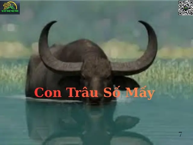 Con Trâu Số Mấy? Giải Mã Giấc Mơ Thấy Trâu [chi Tiết A-z]✴️