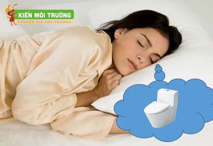 Mơ Thấy Đi Vệ Sinh Gặp Người: Giải Mã Ý Nghĩa, Điềm Báo & Con Số Liên Quan