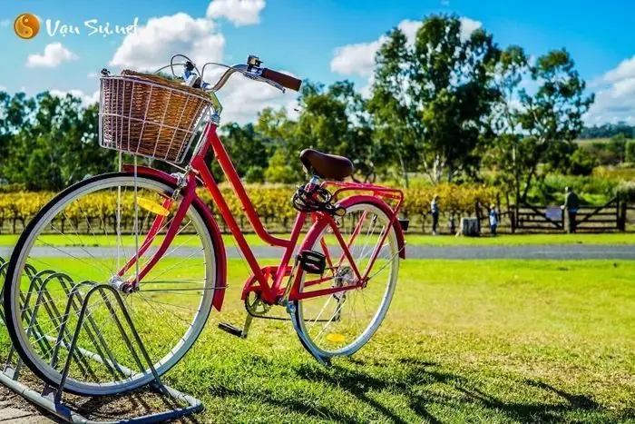 Mơ Thấy Đi Xe Đạp Là Điềm Báo Gì