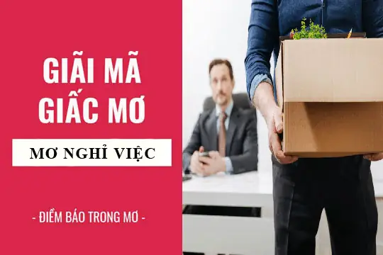 Giải Mã Giấc Mơ: Nằm Mơ Nghỉ Việc, Bị Đuổi Việc Điềm Báo Gì, Lành ...
