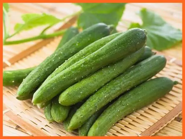 Giải Mã Giấc Mộng Thấy Quả Dưa Chuột