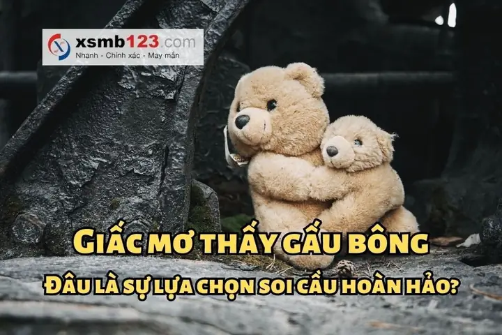 Chọn Ngay Các Cặp Số May Mắn Khi Gặp Giấc Mơ Về Gấu Bông