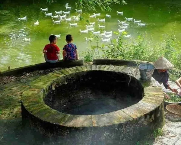 Nằm Mơ Thấy Giếng Nước