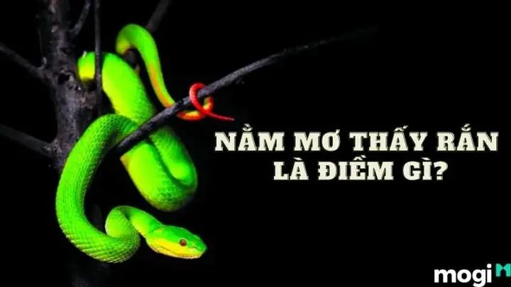 Hành Động “giết” Trong Giấc Mơ: Sự Giải Phóng Và Chiến Thắng Hành Động “giết” Trong Giấc Mơ: Sự Giải Phóng Và Chiến Thắng