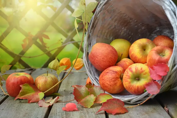 Mơ Thấy Trái Cây Điềm Gì? Ý Nghĩa Các Loại Quả Trong Giấc Mơ Mơ Thấy Trái Cây Điềm Gì? Ý Nghĩa Các Loại Quả Trong Giấc Mơ