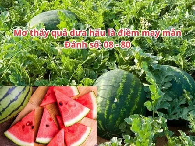 Mơ Thấy Hái Dưa: Giải Mã Điềm Báo Trong Giấc Mơ Của Bạn Mơ Thấy Hái Dưa: Giải Mã Điềm Báo Trong Giấc Mơ Của Bạn