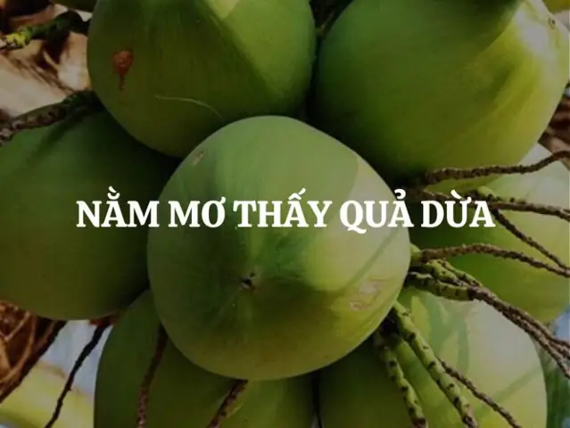 Ý Nghĩa Chung Của Giấc Mơ Thấy Hái Dưa Ý Nghĩa Chung Của Giấc Mơ Thấy Hái Dưa