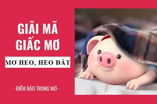 Giải Mã Giấc Mơ: Nằm Mơ Thấy Heo, Heo Đất Điềm Báo Gì, Lành Hay ...