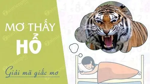 Nằm Mơ Thấy Hổ, Hổ Rượt, Vồ, Chơi Với Hổ Nằm Mơ Thấy Hổ, Hổ Rượt, Vồ, Chơi Với Hổ