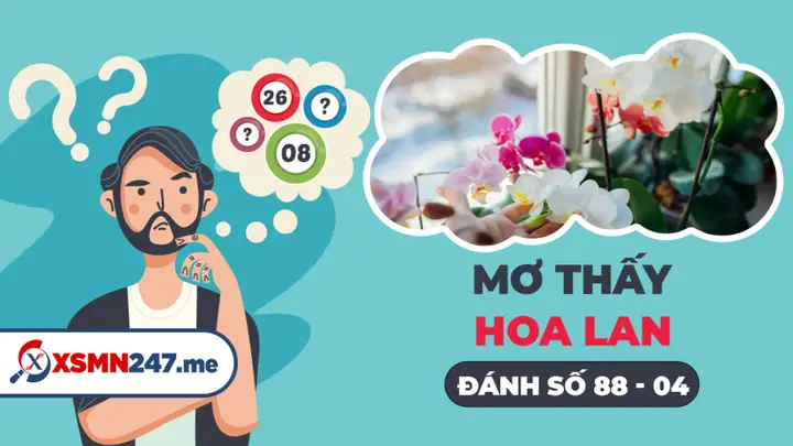 Nằm Mơ Thấy Hoa Lan Là Điềm Báo Gì? - Mơ Hoa Phong Lan Đánh Số Gì?